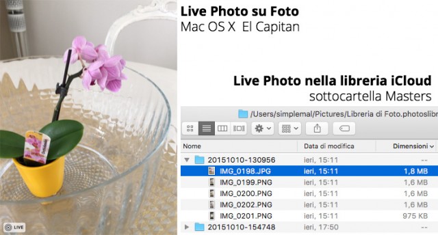live-photos-folder